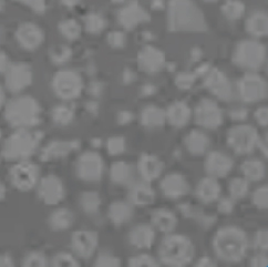 Sichuan Kunwei Langsheng Extrusion Intelligent Equipment Co., Ltd.